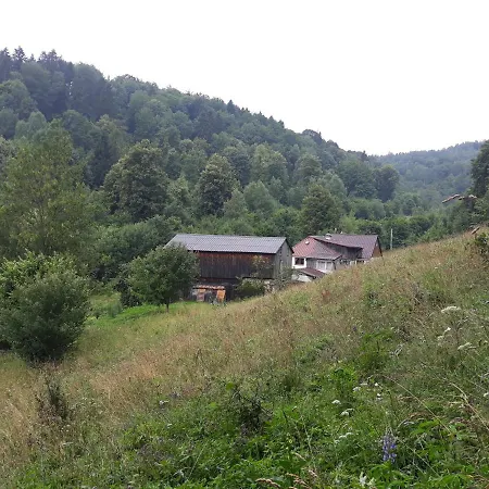 Goscinne Thank Life, 2 Forest For Rest