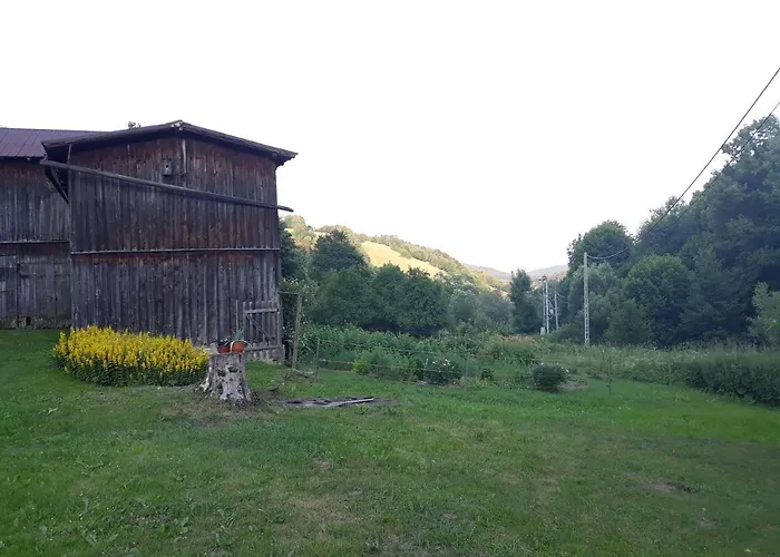 Goscinne Thank Life, 2 Forest For Rest