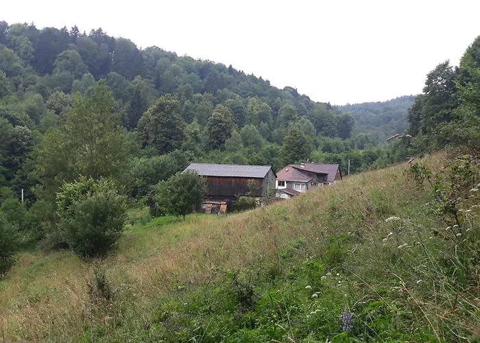 Goscinne Thank Life, 2 Forest For Rest