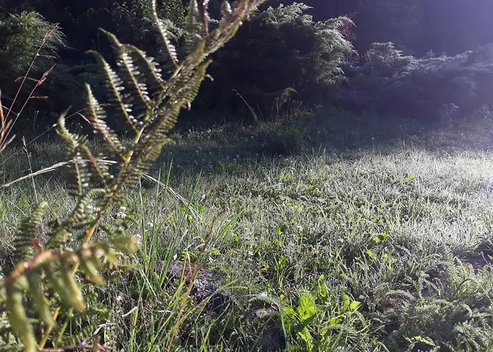 Goscinne Thank Life, 2 Forest For Rest Apartamento Bystrzyca Kłodzka