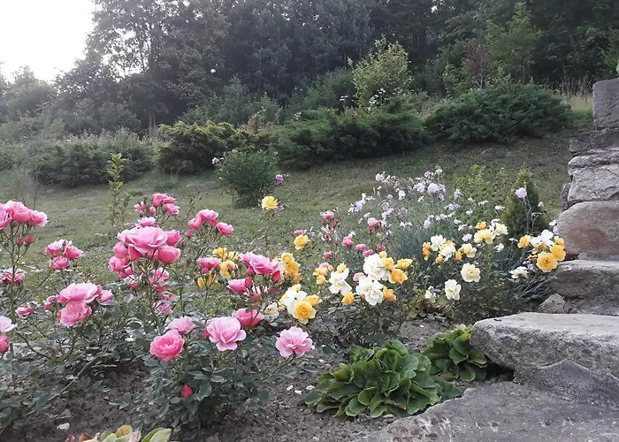 Goscinne Thank Life, 2 Forest For Rest Apartamento