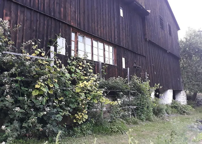 Goscinne Thank Life, 2 Forest For Rest Apartamento *